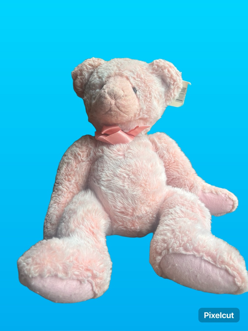 Plush Pink Teddy Bear with Bow